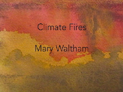 Climate Fires